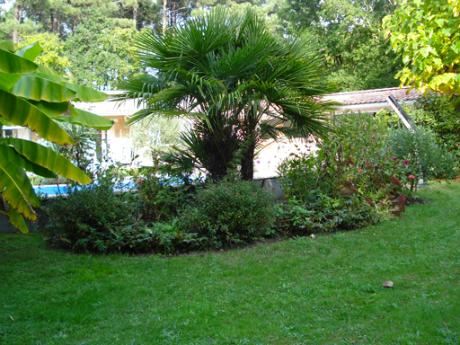 jardin paysagé