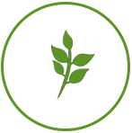 développement durable