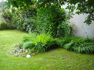 entretien de jardins